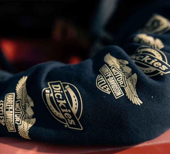 Felpa con cappuccio Dickies x HD Eagle Sleeve - Antracite