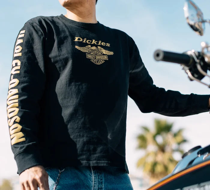 Maglietta a maniche lunghe da uomo Dickies x HD Heavyweight Eagle - Antracite