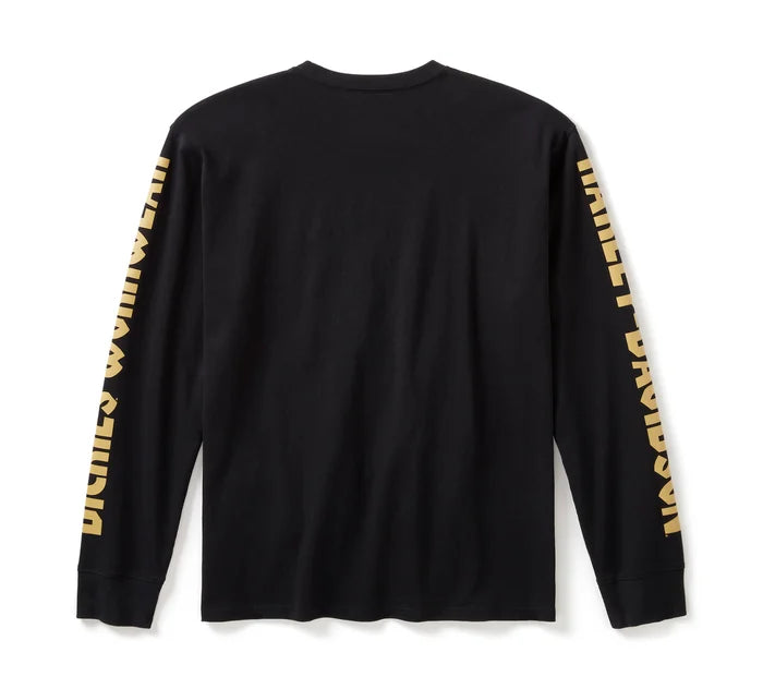Maglietta a maniche lunghe da uomo Dickies x HD Heavyweight Eagle - Antracite